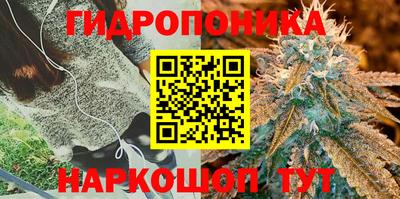 a pvp Среднеуральск