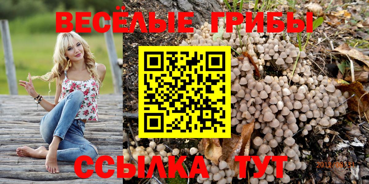 Галлюциногенные грибы GOLDEN TEACHER  Вход с VPN  Новокубанск 